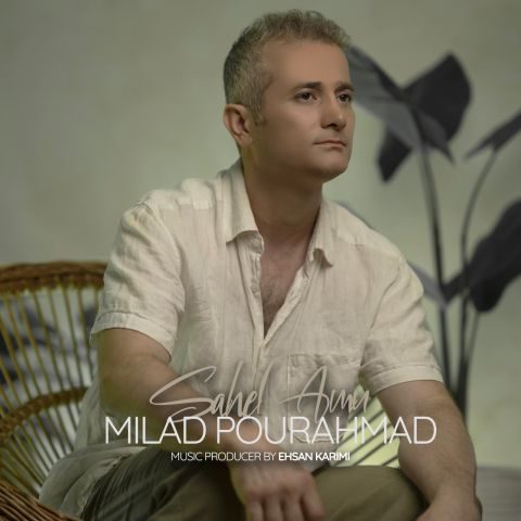 دانلود آهنگ میلاد پوراحمد ساحل امن